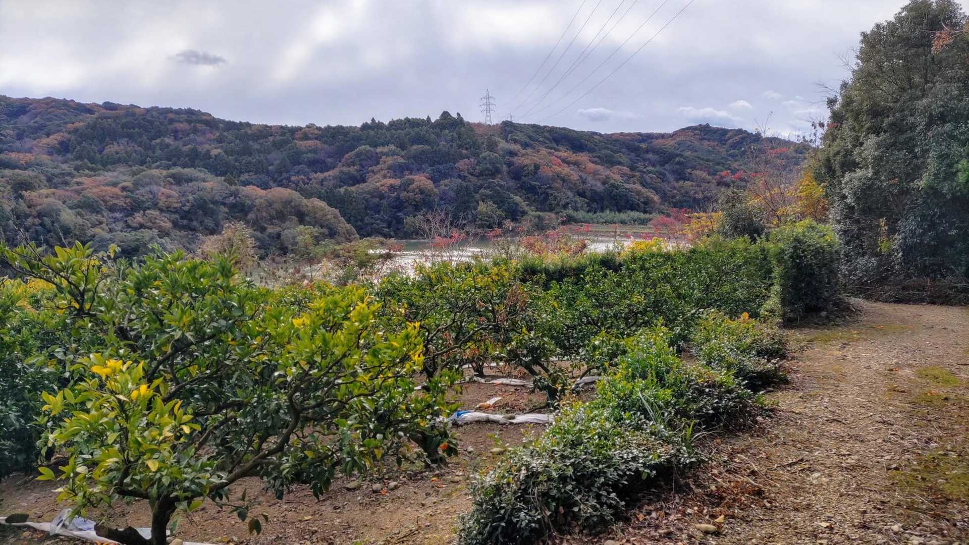 西大谷貯水池が見え
一安心😀
朝食をしっかり食べたのに
お腹がすいてきた😅
これは、下山マジックですかね!?🤭