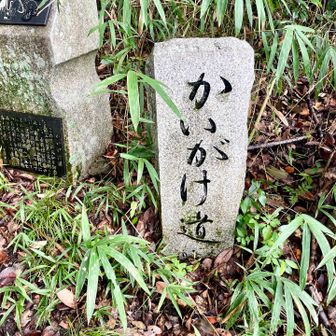かいがけの道、登山口入口到着。
手間1Kmかなり荒れます。
ここからアスファルトの道で駅迄行きます。
