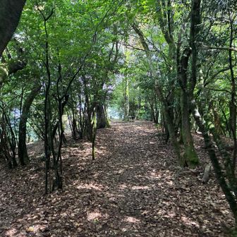 正面は屏山山頂