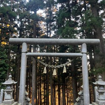 鳥居の奥が朱く照らされて綺麗🤩