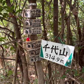 山頂へ到着しました⛰️