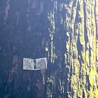 下山開始、1番から