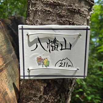 ここにありました！
きゅうちゃんの山名板⛰️✨字が綺麗✨
