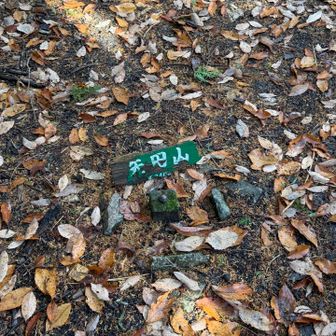 矢田山山頂の三角点