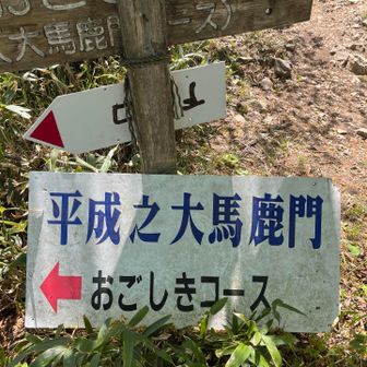 意味不明です？