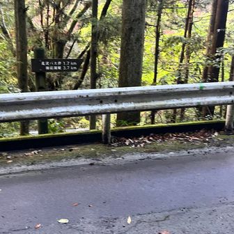 どっちから行っても帰れるけど…うーん街道はどっち🧐ちょっと行ったり来たりしました😅
