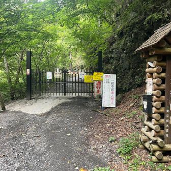 片倉ゲートからしばらく林道歩き