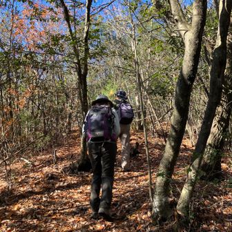すっかり葉も落ちて、サクサク。
おかげで眺望もよい