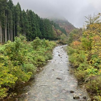 いきなり吊り橋の川でごめんなさい　それだけ下山はデンジャラスでした〜