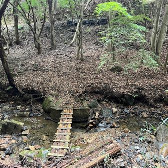 人がいなくて怖かった。ここまで来れば一安心。
道路があるので何かあっても救急車呼べます。