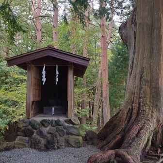 大塚丘と書かれてるだけあって、ほんとに丘のようなところに社があった