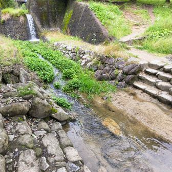 やたらと水量があり、渡る時、靴危なかった💦