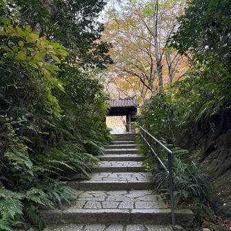 山門まで石段が続く

鎌倉らしい風景❗️
もう少し下がったところで、花嫁さん👰‍♀️のスナップ写真を撮ってたよ〜🥰
キレイだったな〜。