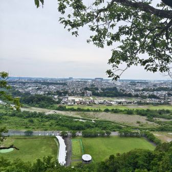 確かに絶景だねと思いつつ、その下を見てみると…