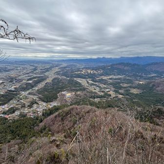 うん、いい眺め