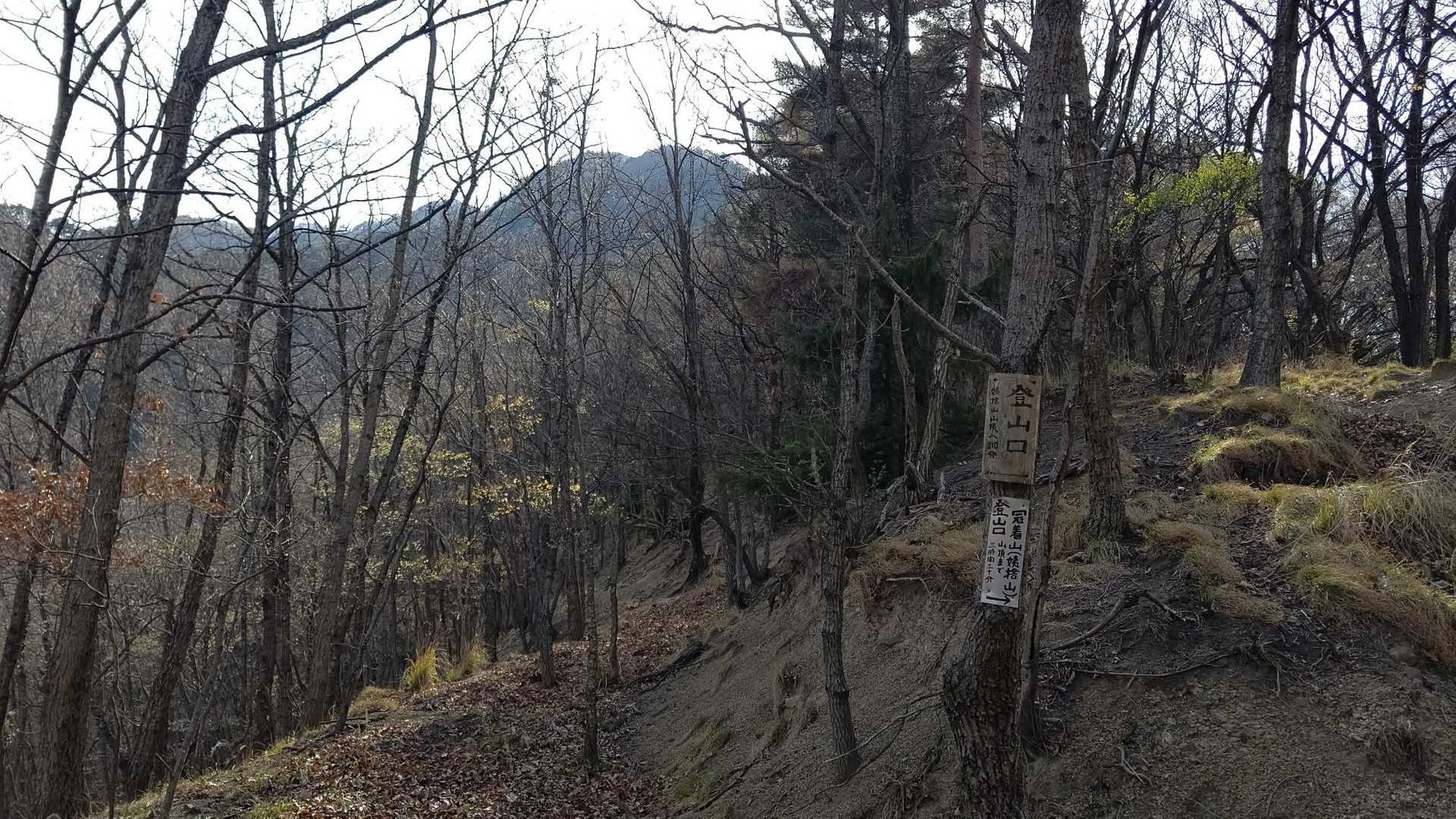 八王子尾根登山口👣⸒⸒
カタクリと冠着山セットで登るのもいいな~と思ってましたが高妻山で大大大満足なのでまた今度👋