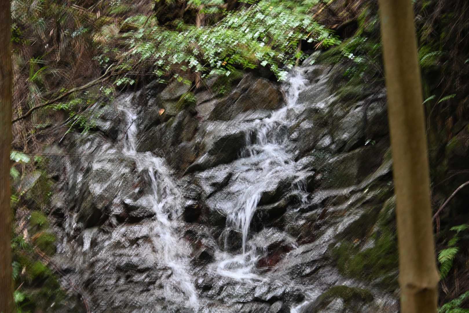 千早城入口-金剛登山口バス停-千早本道登山口-転法輪寺-金 周回コースの写真