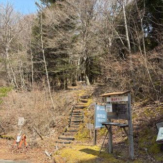 麻布山はまた今度
