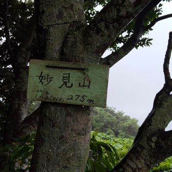 妙見山⛰️山頂に到着