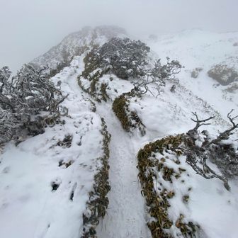 頂上に向かいます❗️🖐️
ここも、埋もれてない…💧