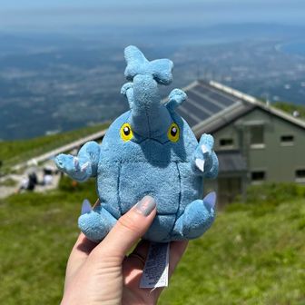 ヘラクロスと旅する者