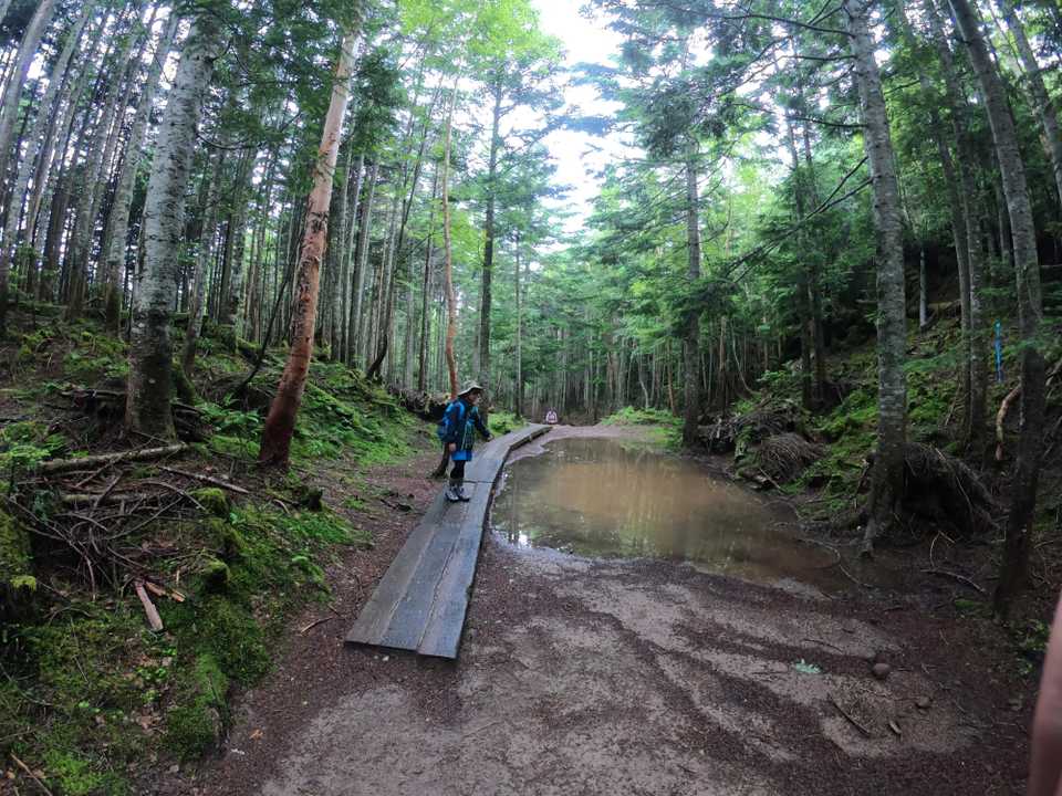 日光白根山 の写真 7