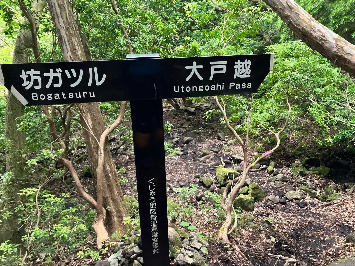 坊ガツルからの道に合流