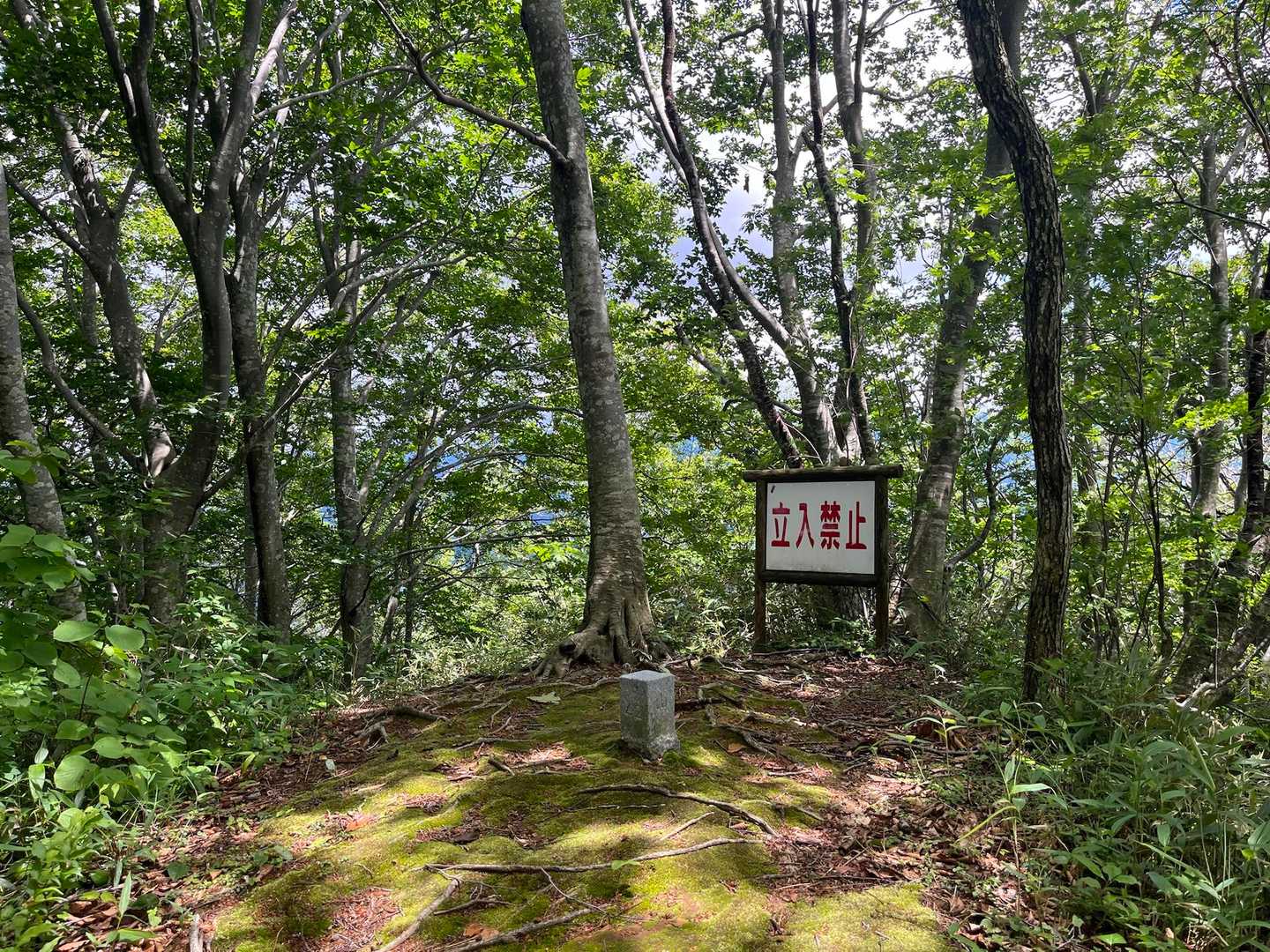 ココまで下ってきました。