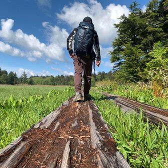 naturewalkingman_70