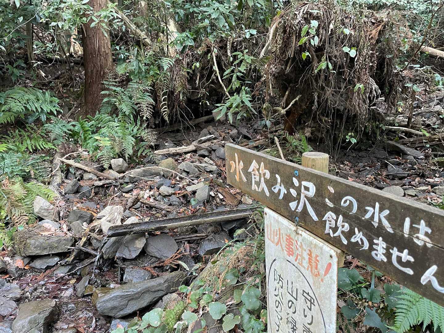 水飲み沢
この水は飲めないそうですが…😅