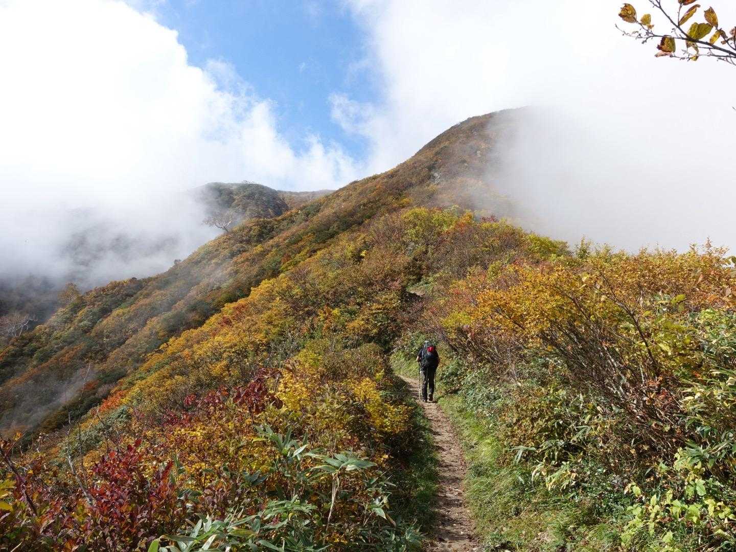 飯豊山往復 | 長き旅路の果てに現れる天空の主稜線、万年雪と高山植物が咲き乱れるの写真