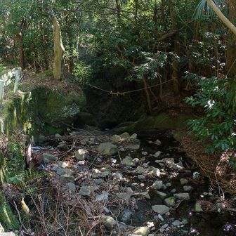 滝まで下りてきた