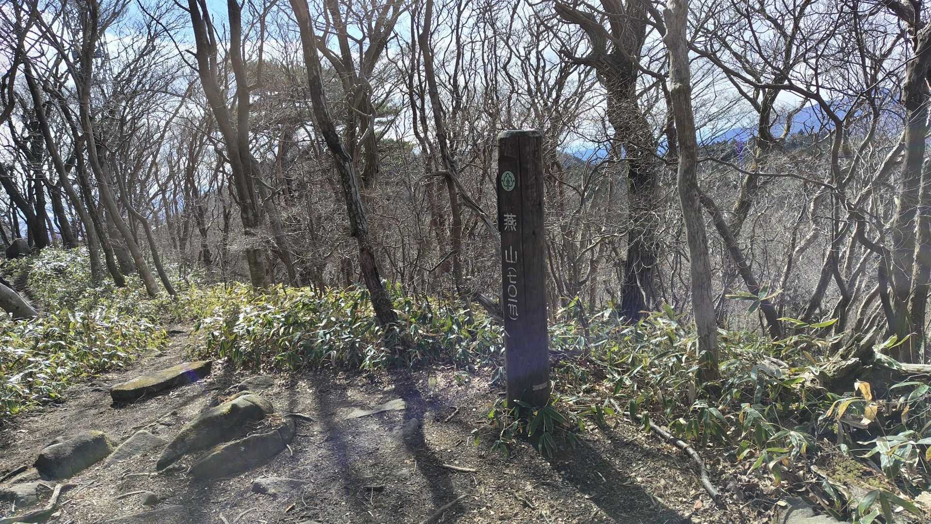 山頂到着。
燕山チームも倒したし、次はいよいよ加波さんだね！