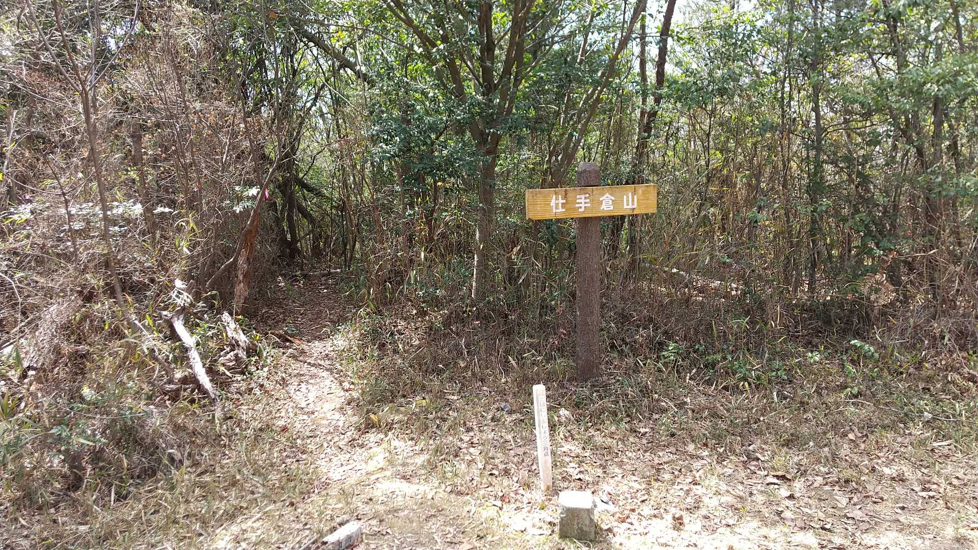 仕手倉山、真っ直ぐ行ってみよう。