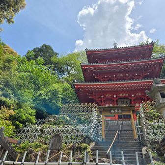 ひっさびさ金華山♪ / メガールの登山データ | YAMAP / ヤマップ