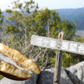 バディと半分こ😋
カロリーも半分こ😁