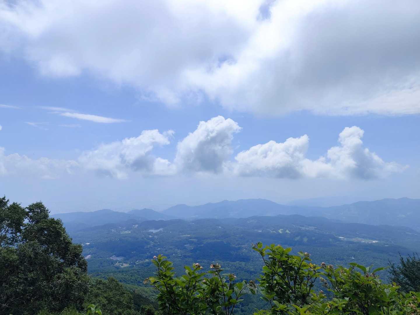 夏雲が沢山
