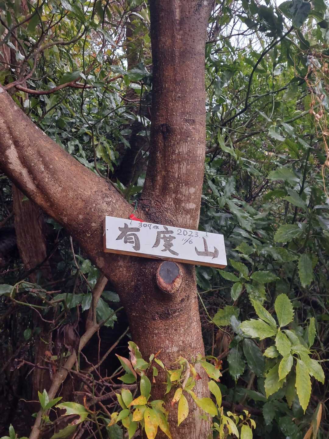 山頂頂到着！
