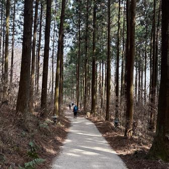 走るMIYABIちゃん💨
待たれ〜い！himeは膝がガクガクじゃ〜
やっぱり楽しかった〜👍