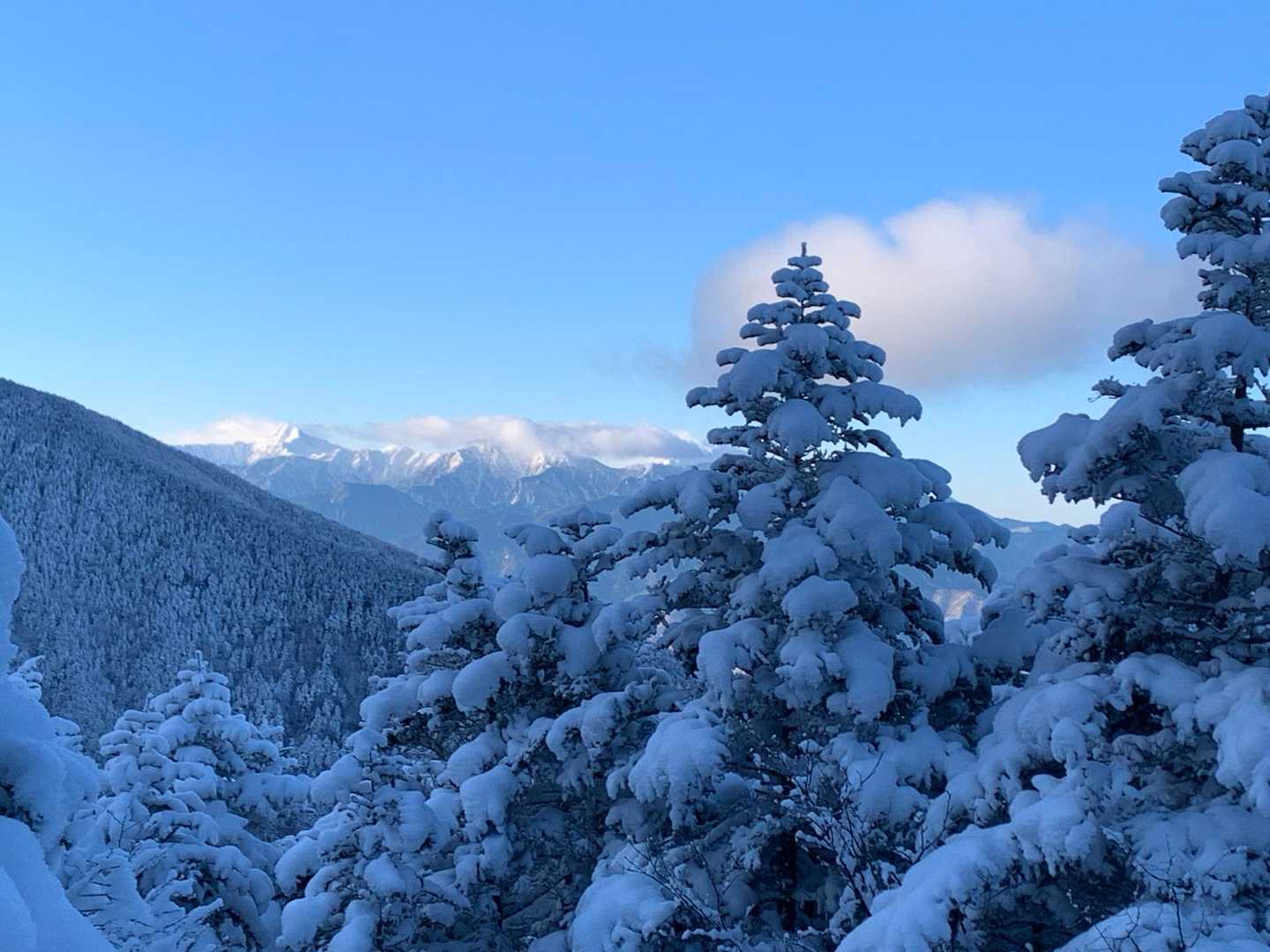美濃戸口登山口-御小屋山-阿弥陀岳 往復コースの写真