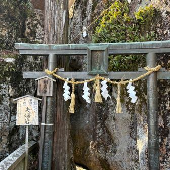 岩の間を通って進む
太っちょは通れない😑