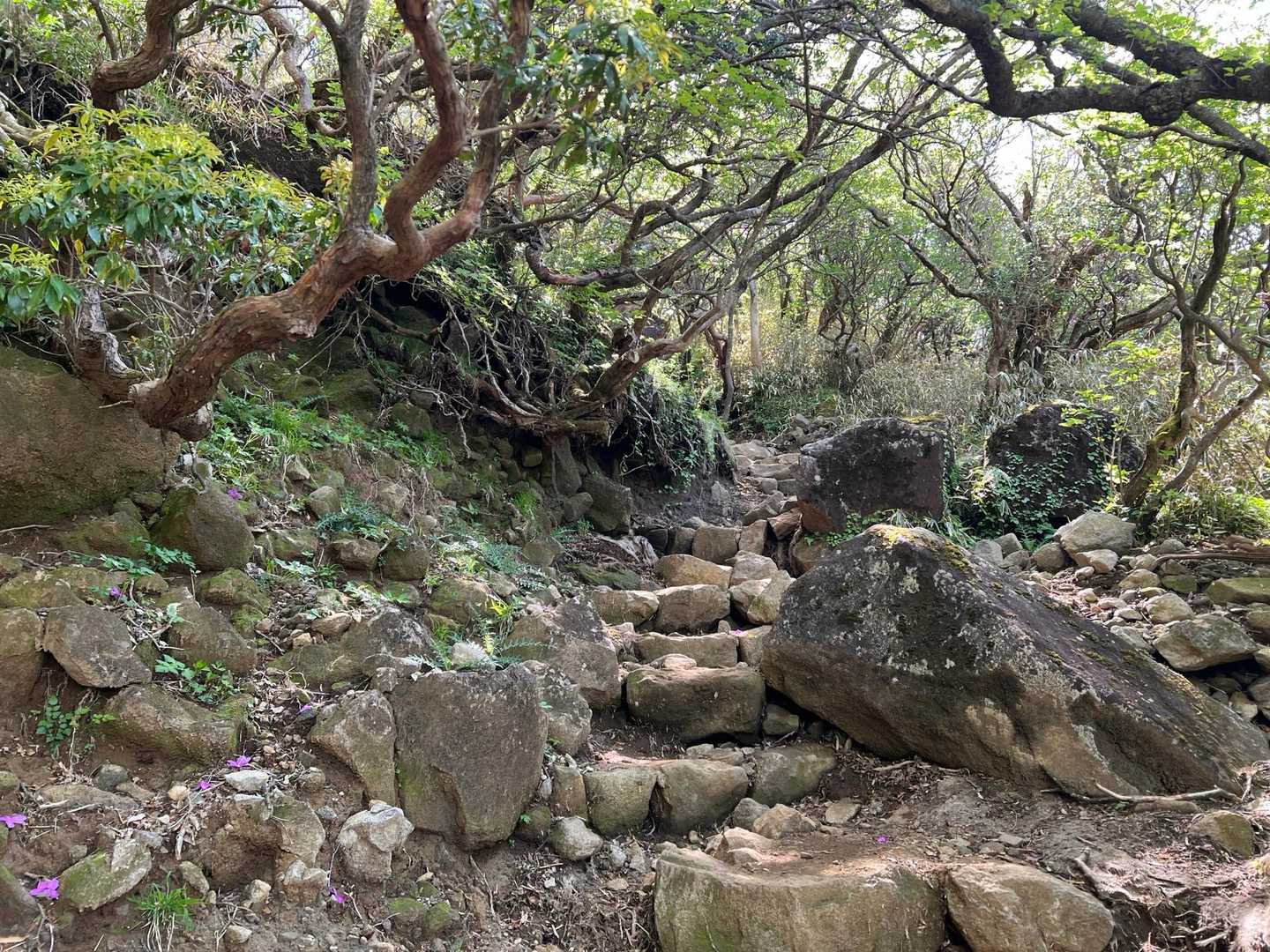 岩が出てきた