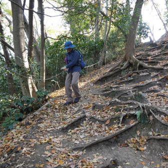 急な坂道を慎重におります。