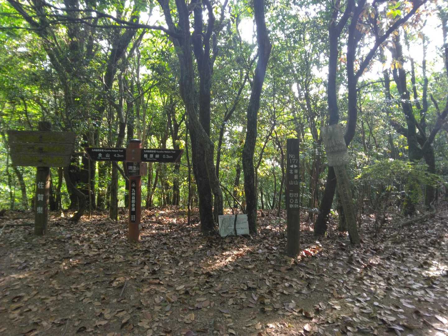鬼ケ鼻岩へ、こっから登ります🥾(椎原峠西)
気温17度で風があり、夏仕様👚では肌寒く感じました(私だけですが)