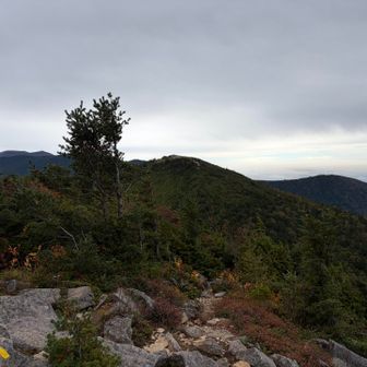東籠ノ登山まで戻ります。