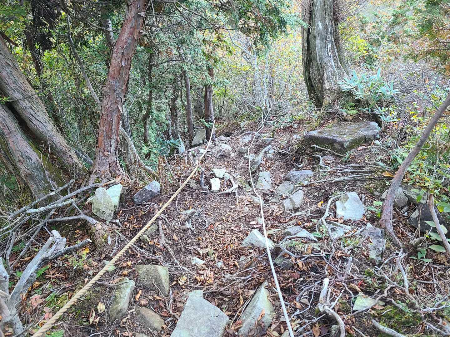 ガラガラ坂のロープ場💦
⚠️急坂なので下りに注意
