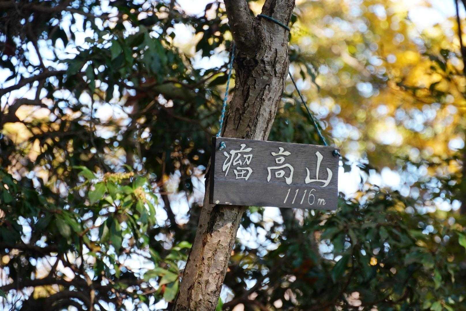 コブタカ山に到着しました。山頂はちょっと狭いです。