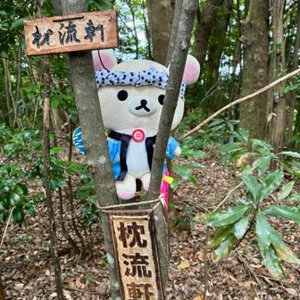 枕流軒（ちんりゅうけん）…⛰️

暑さに弱い豆絞り君、団扇で扇ぎながら頑張りました…🎐

町中華みたいな山名…🍜
