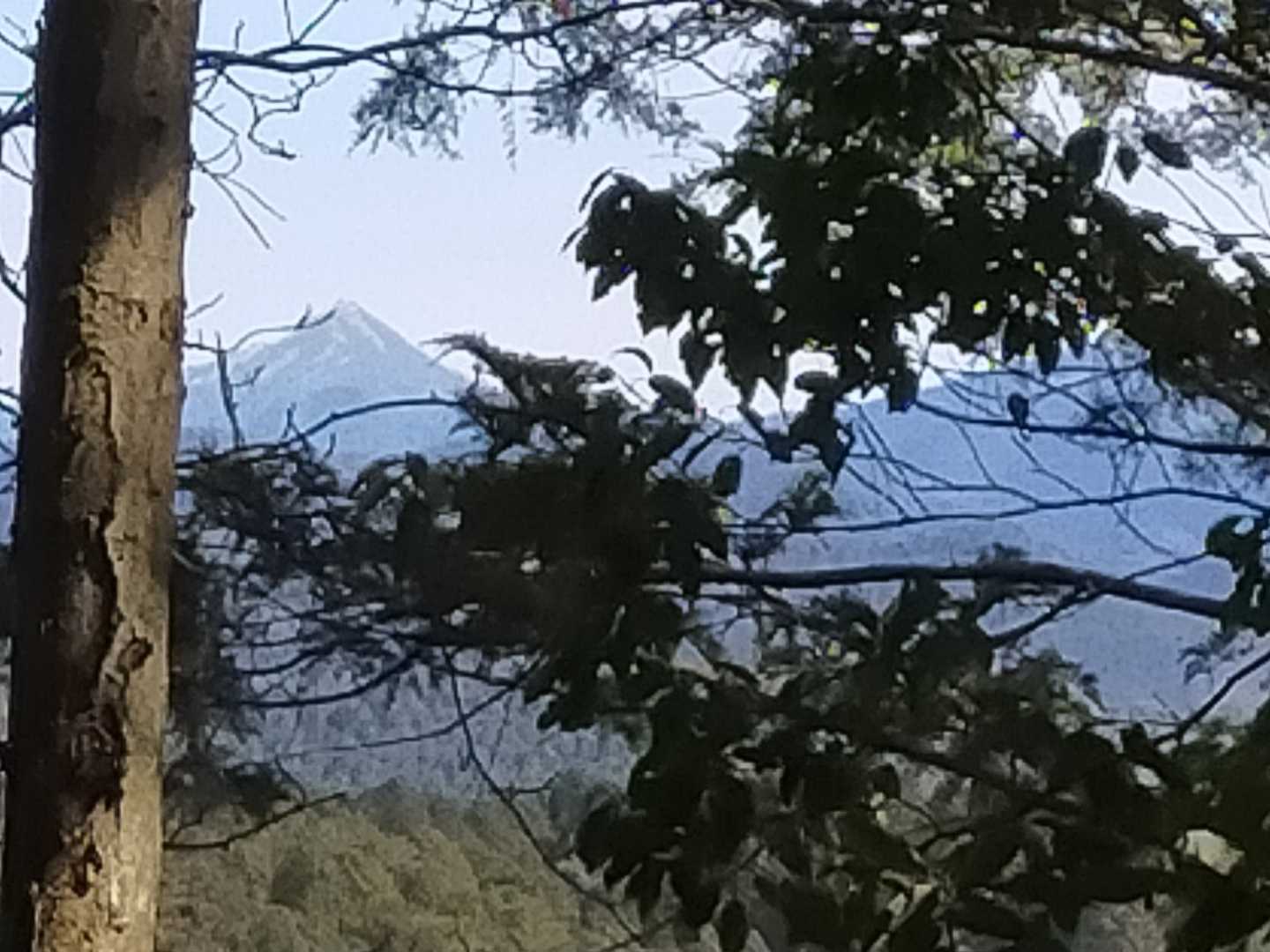 あの立派な山容は白屋岳でしょうか