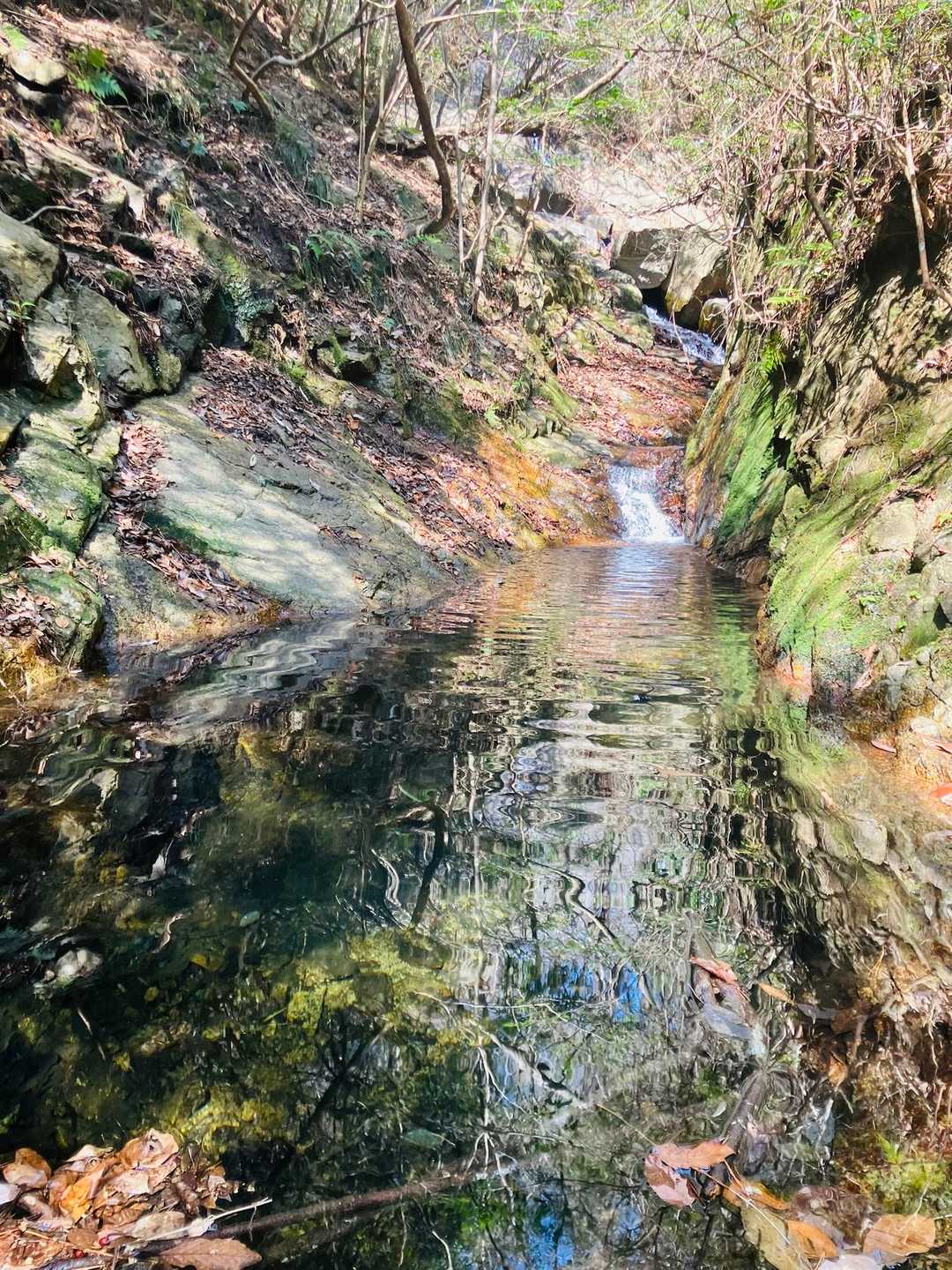 杣谷峠-摩耶別山 周回コースの写真